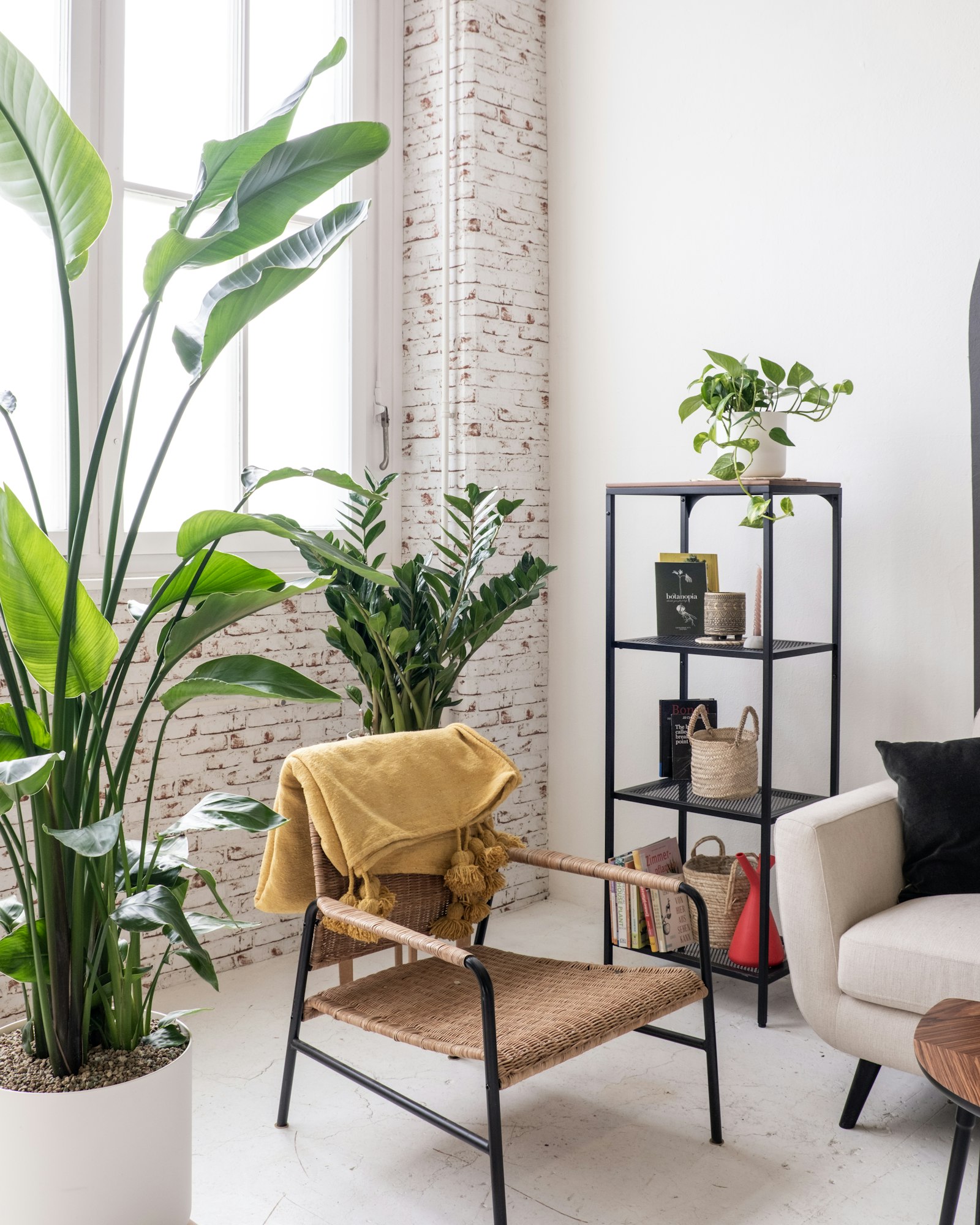 Sala luminosa con plantas de la consulta infantil en Cauquenes